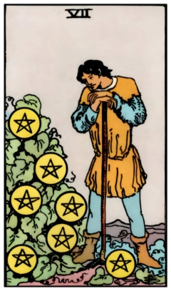 Seven of Pentacles