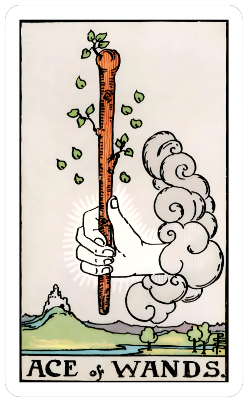 Ace of Wands